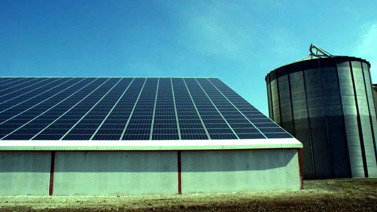 Location Toit photovoltaïque d'un bâtiment agricole