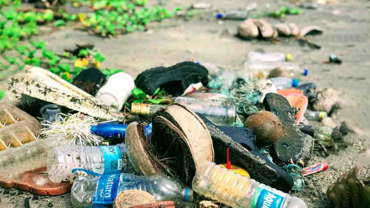 Pollution déchets plastiques : nettoyage