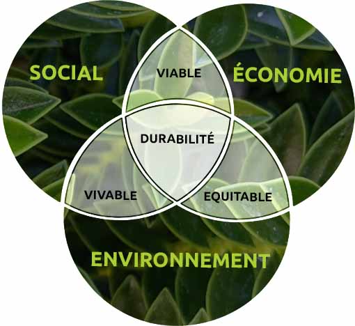3 piliers du RSE : social, environnement, économie